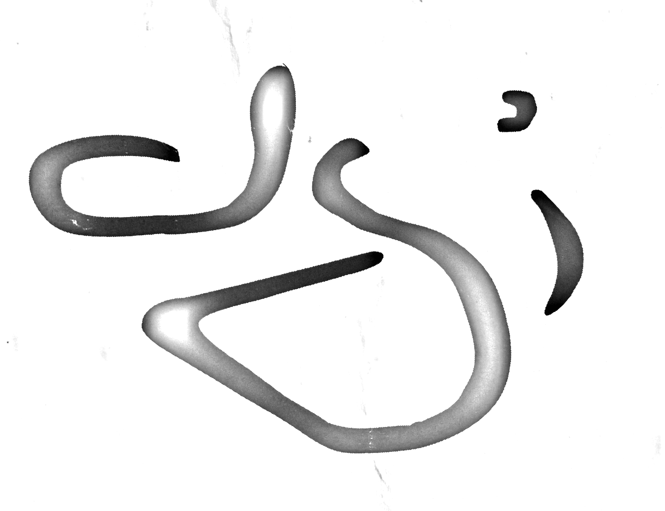 logo-jgi