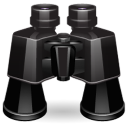 search_binocular